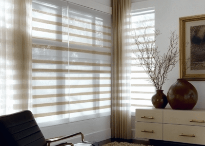 Zebra Blinds with Curtains In Living Room
